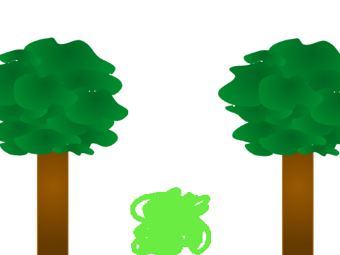 Plants