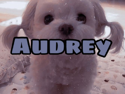 Project thumbnail