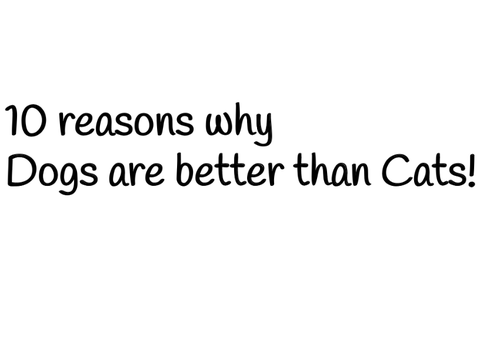 10 reasons why dogs are better than cats.