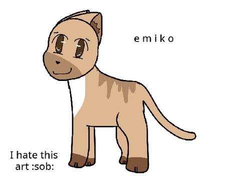 e n t r y