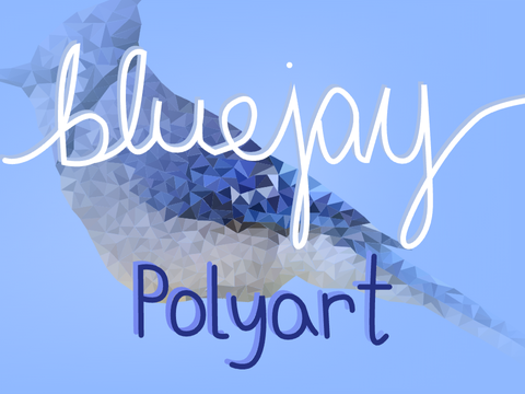 blue jay - speed polyart
