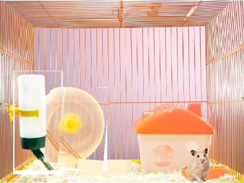 Virtual Pet Hamster New Game!! #all #games