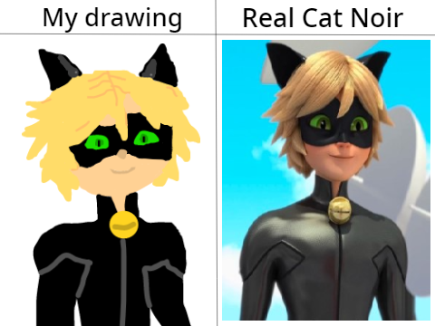 Draw Cat Noir Challenge!! [CLOSED]