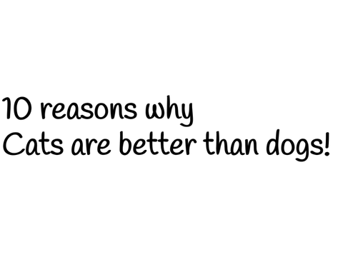 10 reasons why cats are better than dogs.