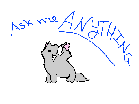 Ask me anything! XDDDDDDD