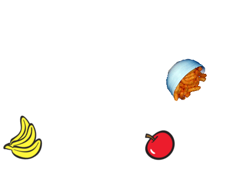 food ninja