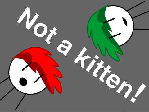 Not a kitten!
