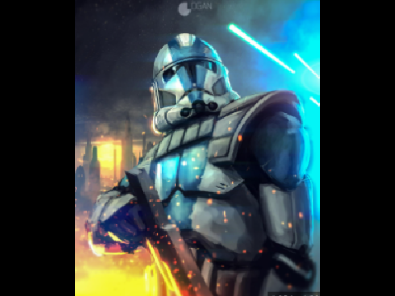 501st Officer