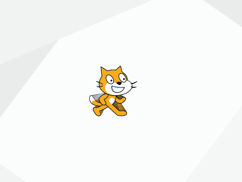 SCRATCH CAT LIGHT TUNNEL EFFECT