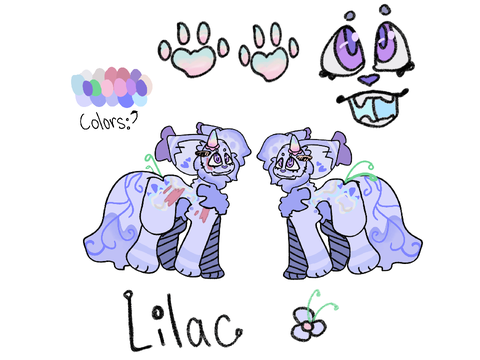 Lilac’s ref