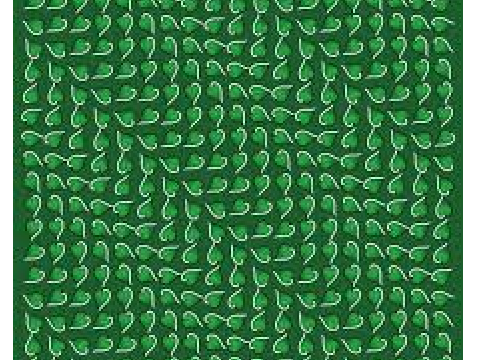 illusion 2