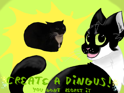 Dingus creator!