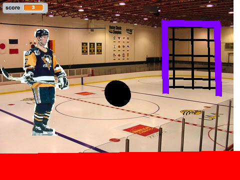 Play Hockey Ya'll