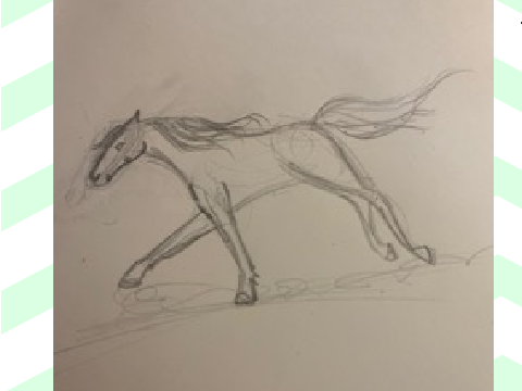 Concours Grandgallop