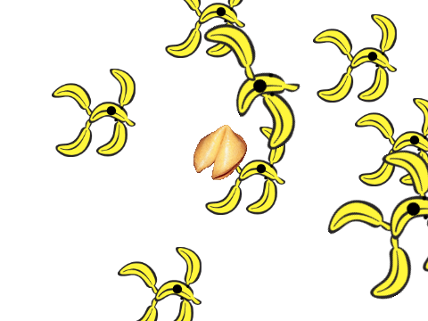 Bannan Eat Cookie