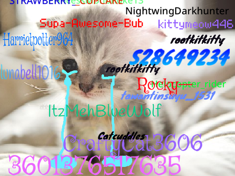 Sign if you Hate Animal Cruelty! remix remix remix