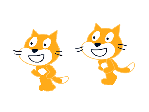 13-frame cat