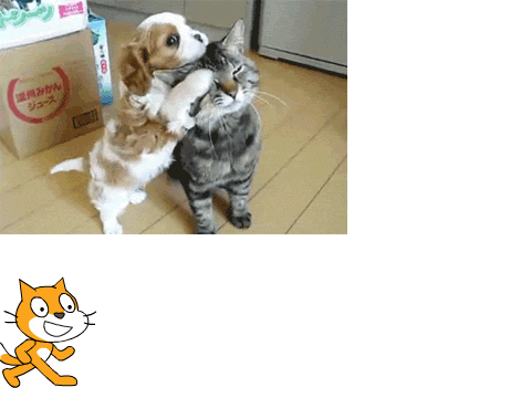 Dog and Kitten playing!