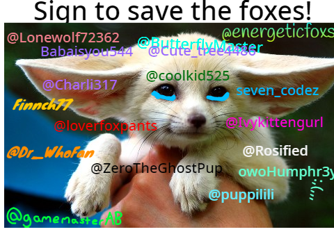 STOP HUNTING FOXES remix remix remix remix remix 7's remix... remix remix remix remix remix r… remix