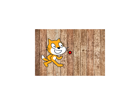 Screen Scroll and Zoom Test