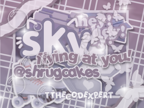 ⌨︎ bce's for sky !꒱✧