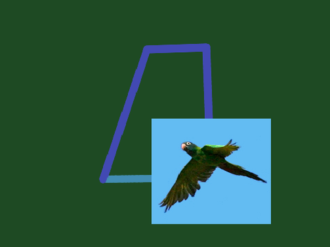 Birdy Draws!