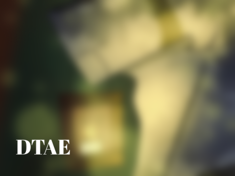 “Dux” . Daylight Guide DTAE (2)
