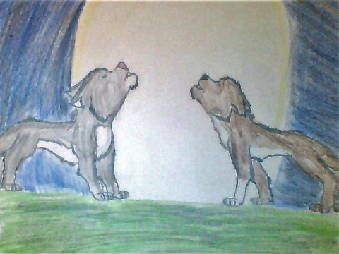 Howling Wolves