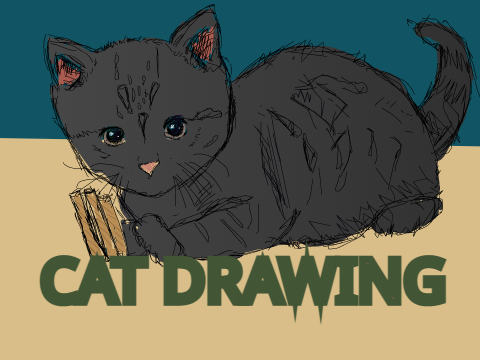 Cat Drawing