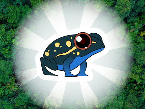 FROG - Animation
