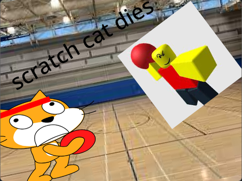 Scratch cat dies while playing dodgeball