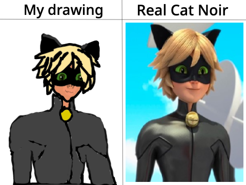 Draw Cat Noir Challenge!! [OPEN] remix