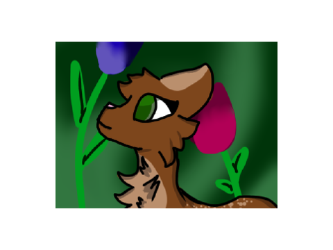 The forest of Light- Almondpaw fanart
