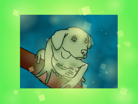 Frog Dog