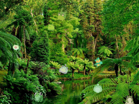FROG CONTEST ENTRY! Find the Frogs!
