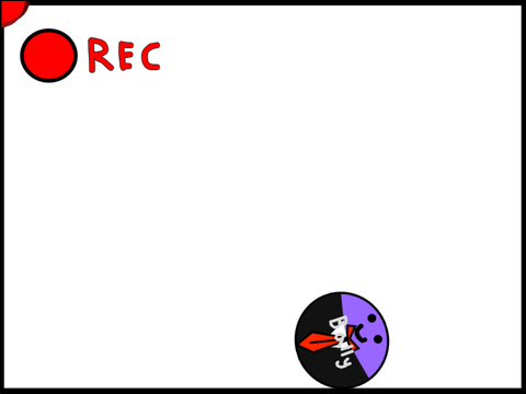 Bally the Ball: A Physics Project.