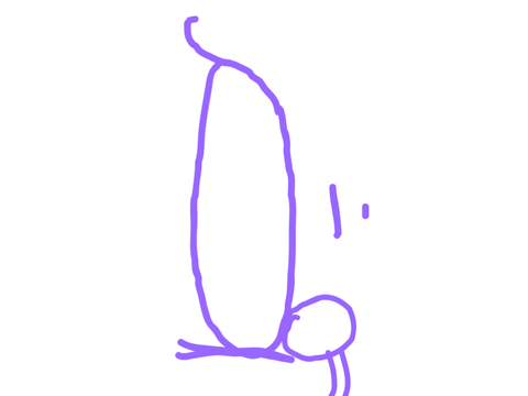 THIS IS SOMEWHAT WHAT IT WILL LOOK LIKE