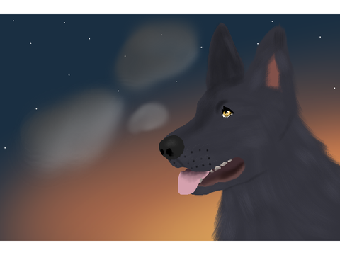 Realistic GSD attempt 1