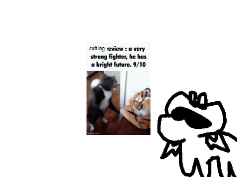 softling review