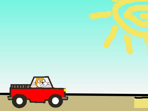 DESERT RALLY
