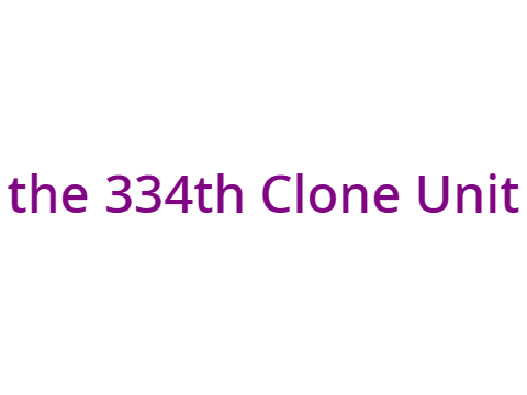 Get to know: the 334th Unit