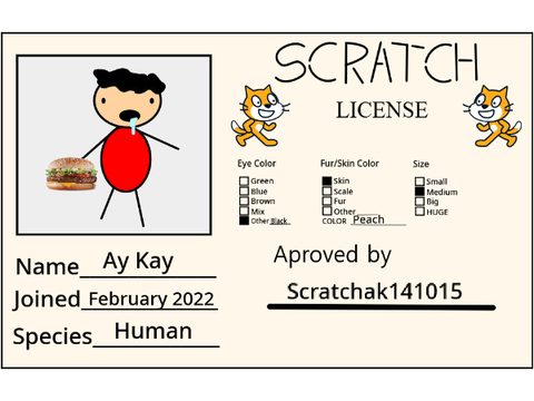 My License