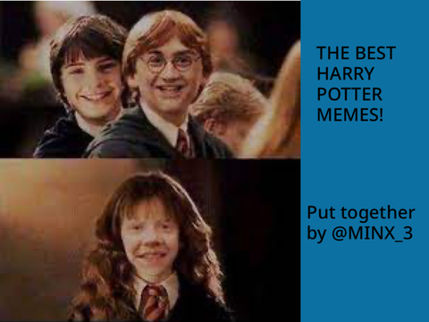 HARRY POTTER MEMES