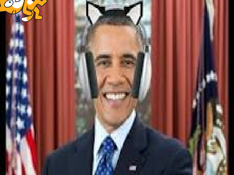 Spin On OBAMBA 2