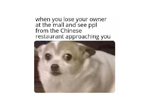 Daily Meme #46