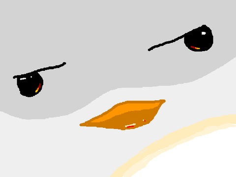 donald duck