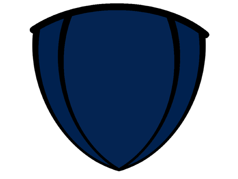 VIKING FC