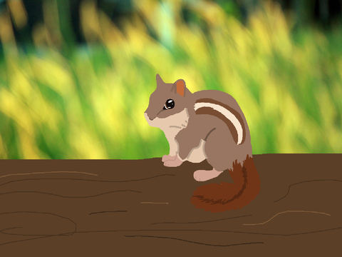 chipmunk
