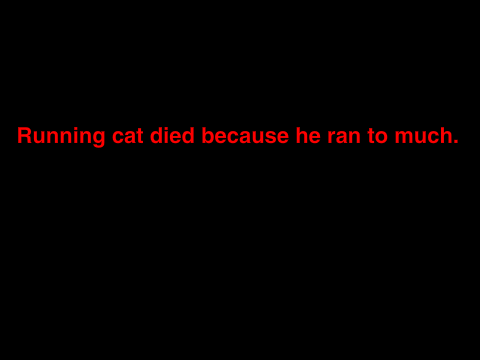 FAST RUNNER Cat!