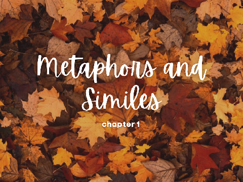 Metaphors and Similes - Chapter 1